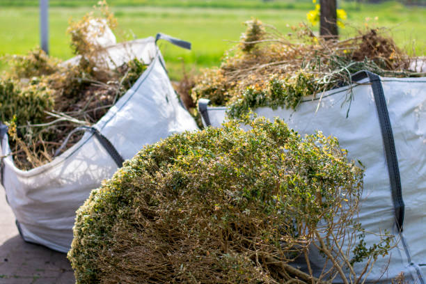 Best Yard Waste Removal  in Sheldon, IA