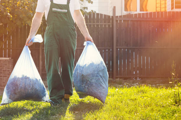 Best Electronics and E-Waste Disposal  in Sheldon, IA